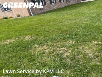 Lawn Maintenance nearby Belgium, WI, 