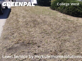 Yard Cutting nearby San Diego, CA, 