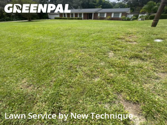 Lawn Mowin Altamonte Springs,32701,Lawn Care by New Technique, work completed in Nov , 2025