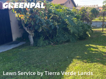Landscaping Maintenance In Los Angeles,90003,Landscaping Maintenance by Tierra Verde Lands, work completed in Jan , 2026