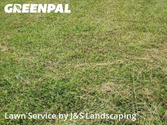Yard Mowing nearby Westland, MI, 