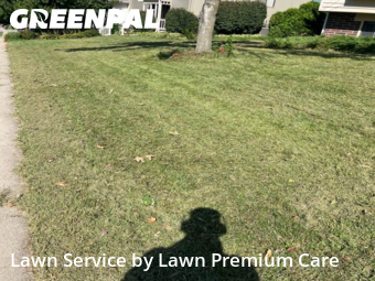 Lawn Cut nearby Omaha, NE, 