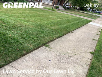 Lawn Mow nearby Cincinnati, OH, 