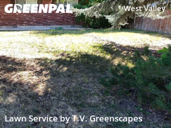 Lawn Mow nearby Boise, ID, 