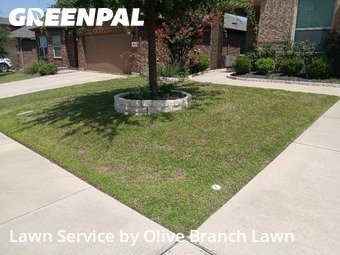 Lawn Service nearby Roanoke, TX, 