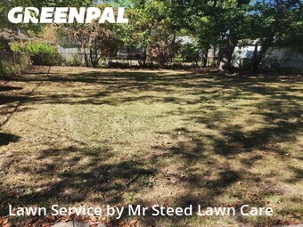 Grass Cuttingin Oak Park,48237,Yard Mowing by Mr Steed Lawn Care, work completed in Jun , 2026
