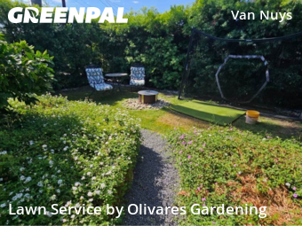 Work completed by yard-maintenance-professionals-in-Los Angeles-CA