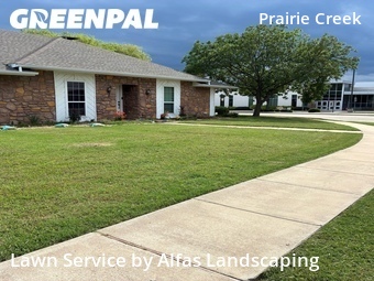 Lawn Maintenancein Plano,75075,Grass Cutting by Alfas Landscaping, work completed in Jun , 2026