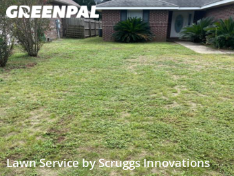 Lawn Cutting nearby Pace, GA, 