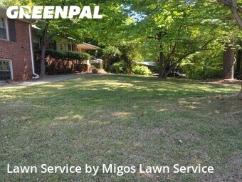 Grass Cut nearby Stone Mountain, GA, 