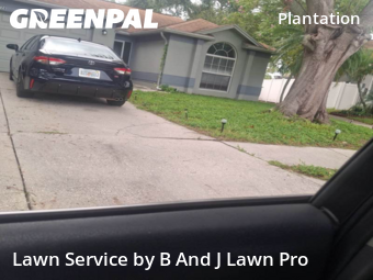 Lawn Cut nearby Tampa, FL, 
