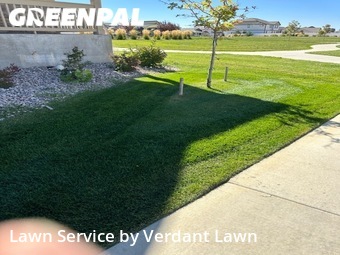 Lawn Maintenance nearby Loveland, CO, 