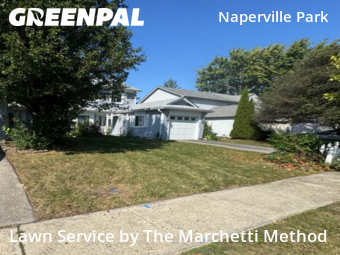 Lawn Cut nearby Naperville, IL, 