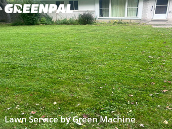 Yard Cutting nearby Berkley, MI, 