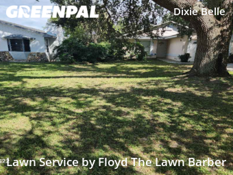 Lawn Mowing nearby Orlando, FL, 