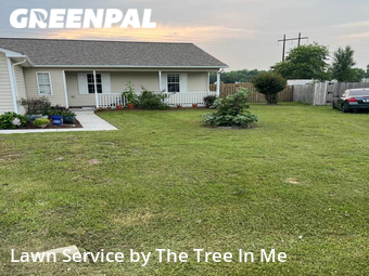 Grass Cutting nearby Jacksonville, NC, 