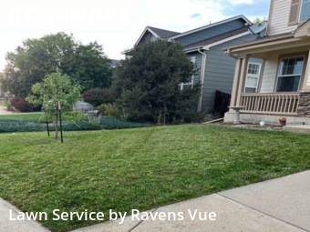 Lawn Mowin Longmont,80504,Lawn Cut by Ravens Vue, work completed in Jan , 2026