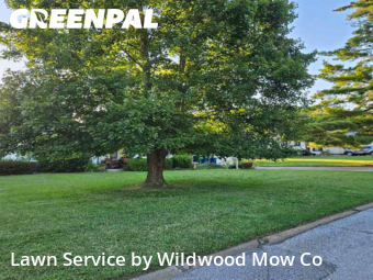 Yard Mowingin Ballwin,63011,Yard Mowing by Wildwood Mow Co, work completed in Nov , 2025