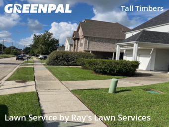 Grass Cut nearby New Orleans, LA, 