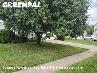 Lawn Care nearby Lexington, KY, 
