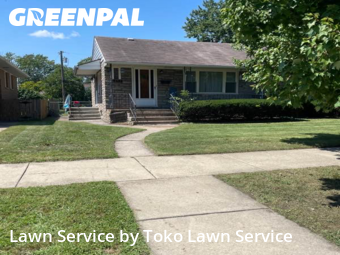 Yard Mowing nearby Hammond, IN, 