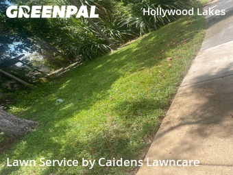 Work completed by yard-maintenance-professionals-in-Hollywood-CA