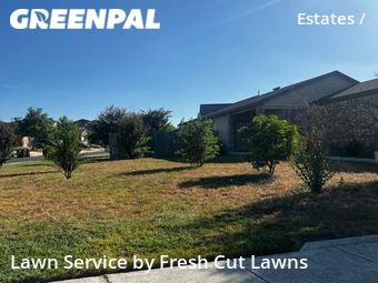 Lawn Care nearby San Antonio, TX, 