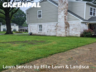 Lawn Care nearby Memphis, MS, 
