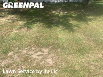 Lawn Mow nearby Lakeland, FL, 