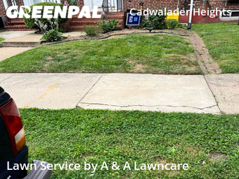 Grass Cutting nearby Trenton, NJ, 