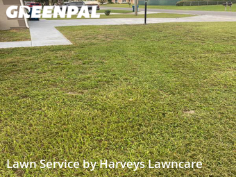 Lawn Mow nearby Spring Hill, FL, 