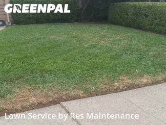 Lawn Cut nearby Sacramento, CA, 