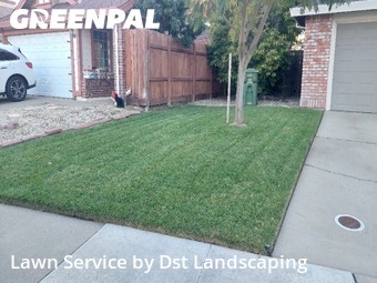 Residential Landscaping In Elk Grove,95758,Landscapers by Dst Landscaping, work completed in Nov , 2025