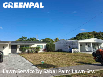 Lawn Mowin Fort Lauderdale,33334,Lawn Maintenance by Sabal Palm Lawn Srv., work completed in Feb , 2026