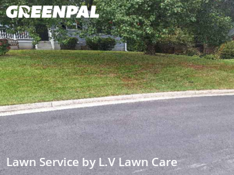 Grass Cutting nearby Fairfax , VA, 