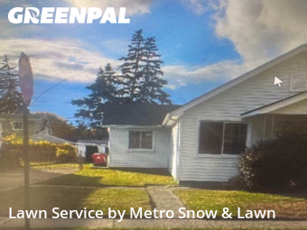 Yard Care in Eastpointe, 48021, Landscaping Maintenance by Metro Snow & Lawn, work completed in Nov , 2025