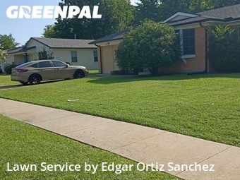 Lawn Mowing Service nearby Wylie, TX, 