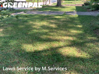 Grass Cut nearby Greensboro, NC, 