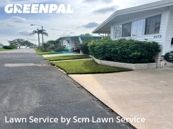 Grass Cut nearby Clearwater, FL, 