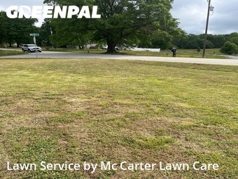 Lawn Cutting nearby Campobello, SC, 