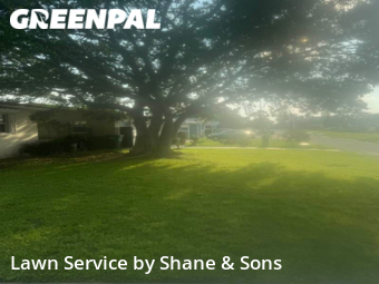 Grass Cutting nearby St. Petersburg, FL, 