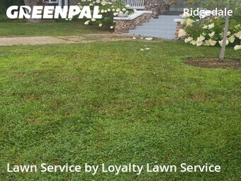 Residential Landscaping In Chattanooga,37404,Landscape Design by Loyalty Lawn Service, work completed in Jul , 2026