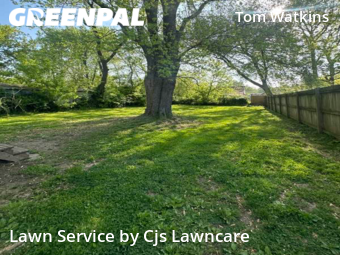 Lawn Cutting nearby Springfield, MO, 