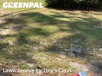 Grass Cutting nearby Valdosta, GA, 