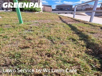 Lawn Care Service nearby New Braunfels, TX, 