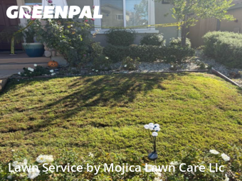 Work completed by lawn-care-experts-near-me-in-Rocklin-CA