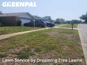 Lawn Mow nearby Clearwater, FL, 