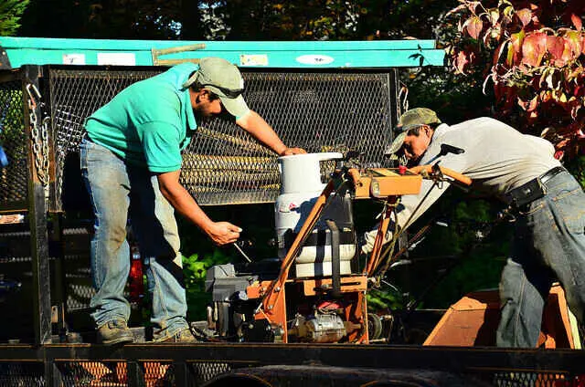 Should I Mow the Lawn or Pay A Service? 