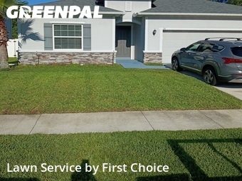 Lawn Care nearby St. Augustine, FL, 