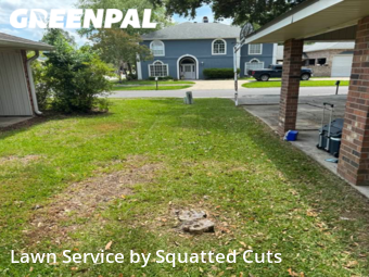 Lawn Mowing Service nearby Lafayette, LA, 